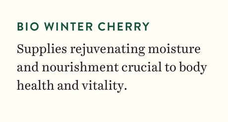 Biotique Winter Cherry Rejuvenating Lotion, 300 milliliters (Pack of 1) | 100% botanical extracts | suitable for all skin types - Vamzn#