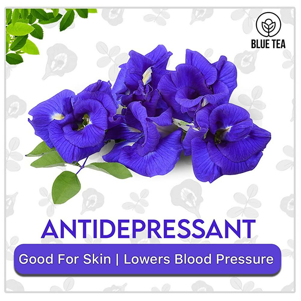 Blue Tea Butterfly Pea Herbal Tea Bags | Anti - Oxidant Rich Herbal Flower Based Caffeine Free - No Preservatives | Detox Tea Natural Premium Herbal Tea - Vamzn#