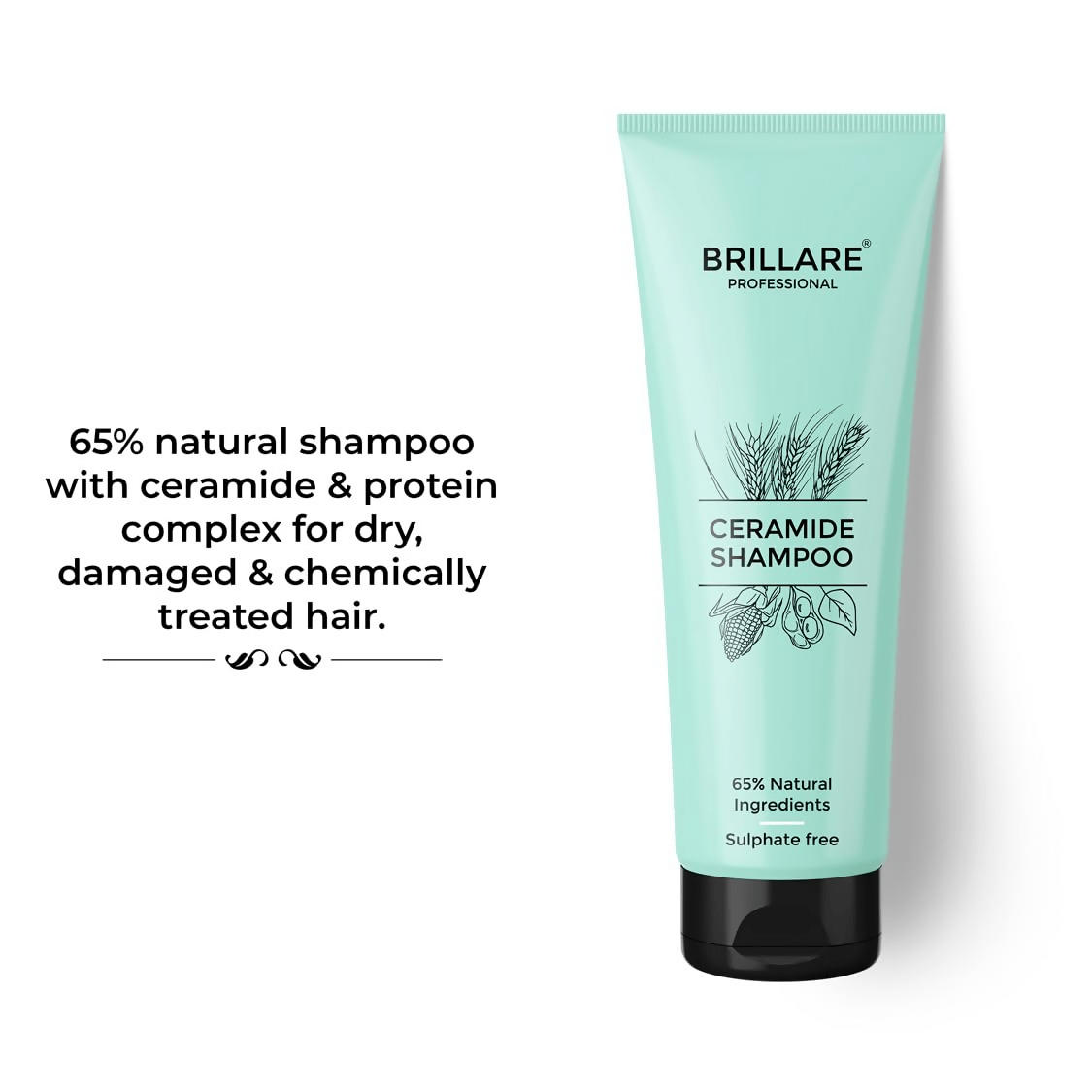 Brillare Ceramide Shampoo - Vamzn#