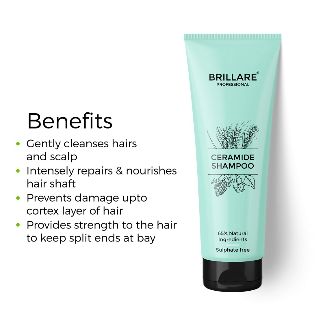 Brillare Ceramide Shampoo - Vamzn#