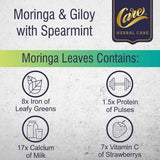 Care Moringa & Giloy Green Tea Bags with Spearmint - Vamzn#