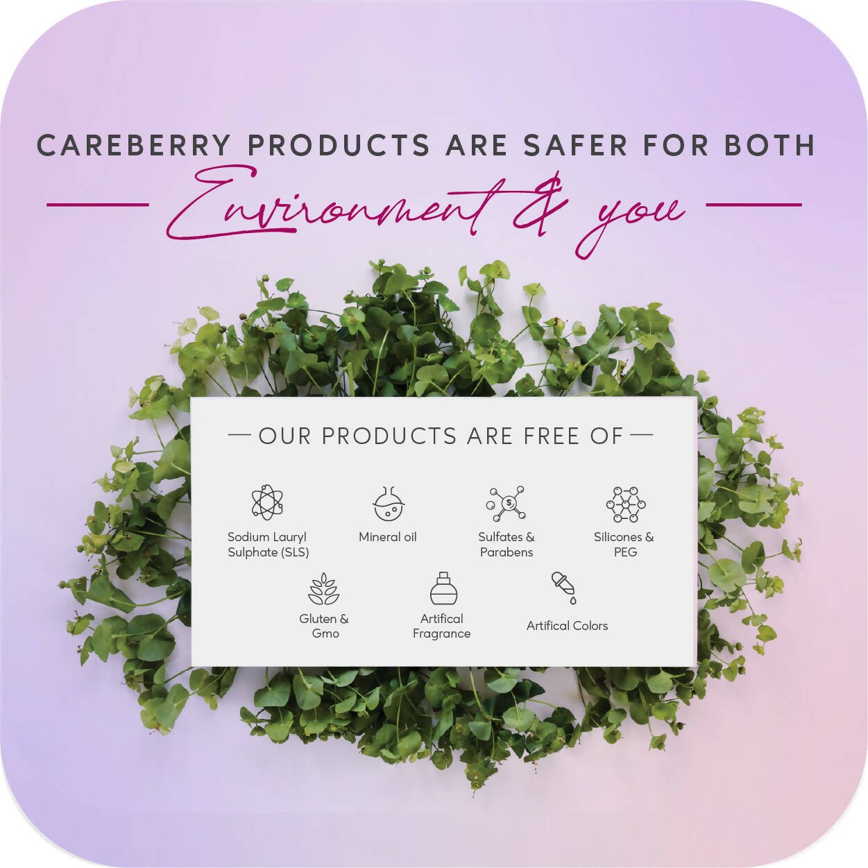 Careberry Organic Red Onion & Black Seed Oil Ultimate Anti Hair Fall Shampoo + Conditioner + Hair Oil - Vamzn#
