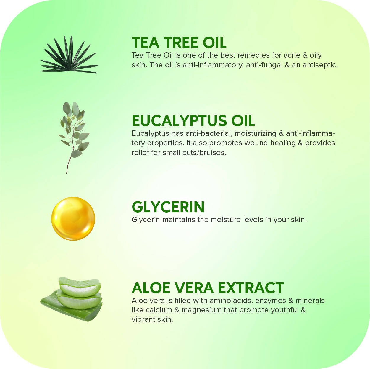 Careberry Organic Tea Tree & Eucalyptus Oil Shower Gel And Tea Tree Oil & Shea Butter Body Lotion - Vamzn#