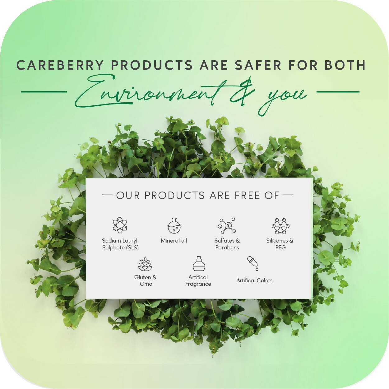 Careberry Organic Tea Tree & Eucalyptus Oil Shower Gel And Tea Tree Oil & Shea Butter Body Lotion - Vamzn#