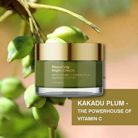 Coccoon Repairing Night Cream With Vitamin C Kakadu Plum and Shea Butter - Vamzn#