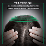 De Fabulous Tea Tree Oil Sulphate Free Shampoo For All Hair Types - Vamzn#
