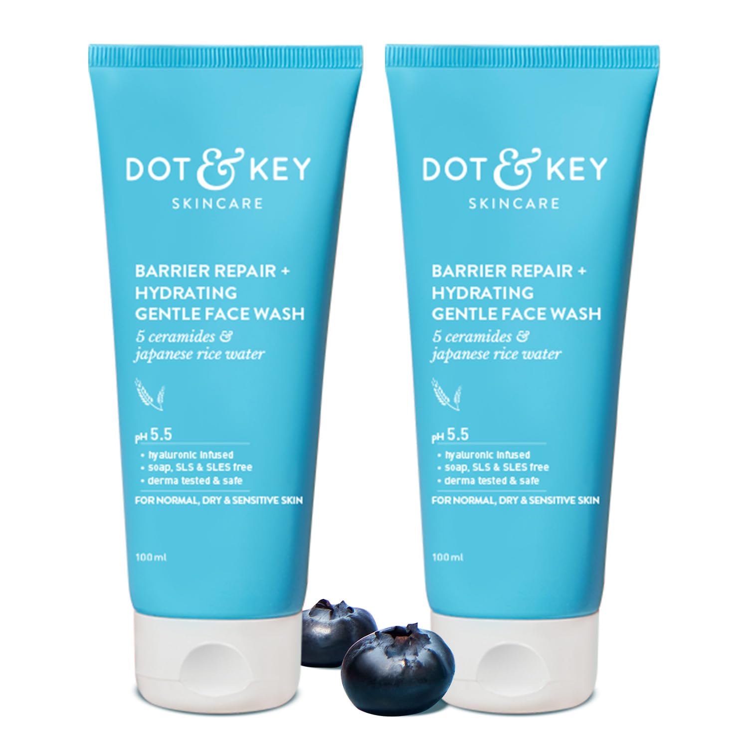 DOT & KEY Barrier Repair + Hydrating Gentle Face Wash With Probiotic|Ceremide Face Wash|Face Wash For Dry Skin,Normal Skin&Sensitive Skin|Gently Cleanses Skin From Dirt&Oil For Unisex,100Ml - Vamzn#