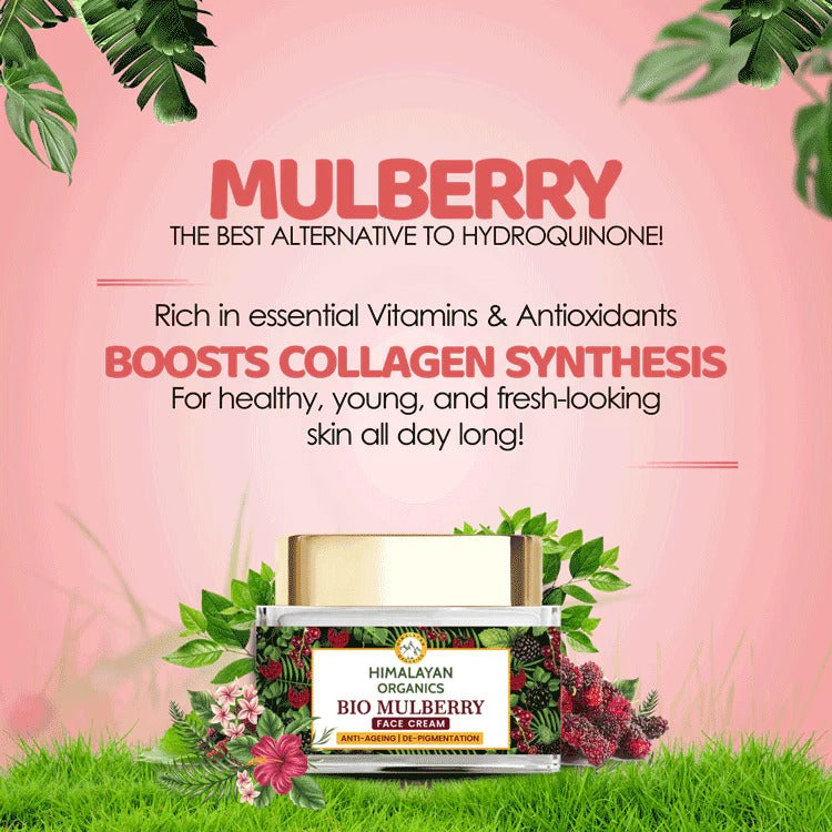 Himalayan Organics Bio Mulberry Face Cream