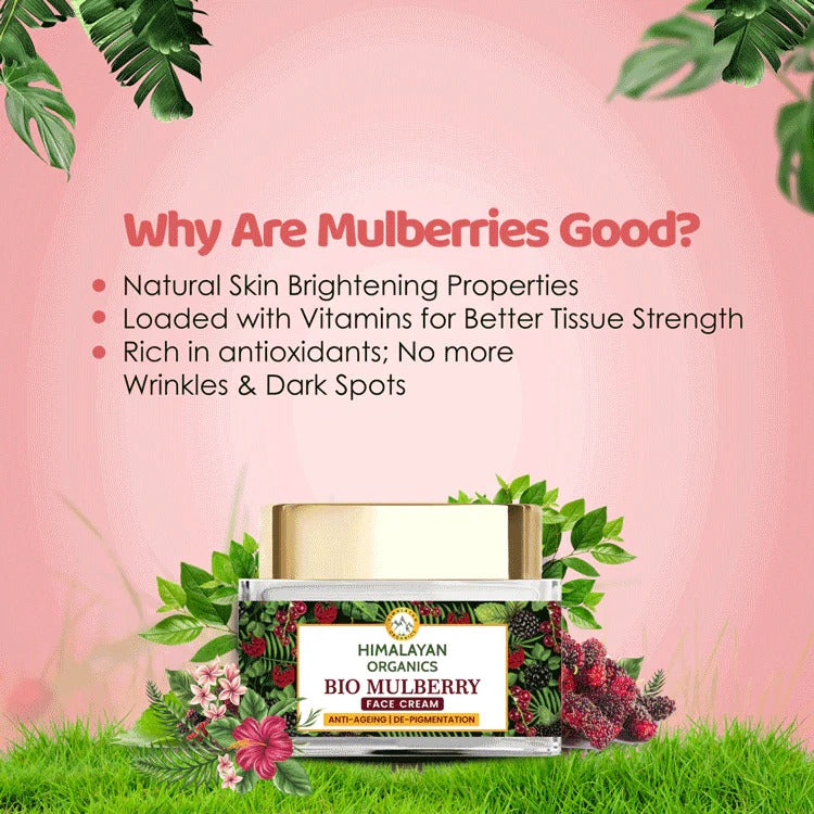 Himalayan Organics Bio Mulberry Face Cream