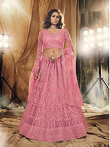 Dusty Pink Heavy Embroidered Net bridal Lehenga - Vamzn#