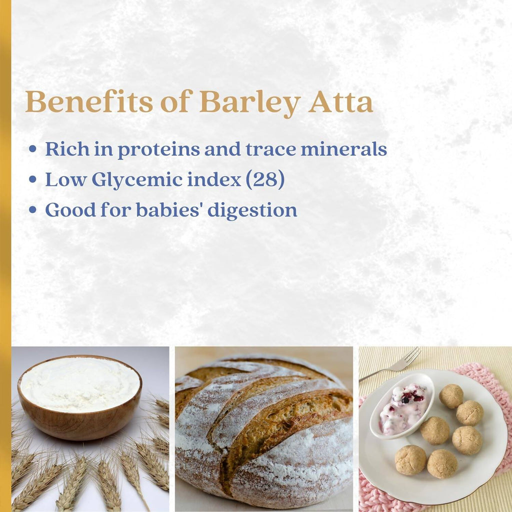 Earthen Story Certified Organic Pearl Barley Flour - Vamzn#