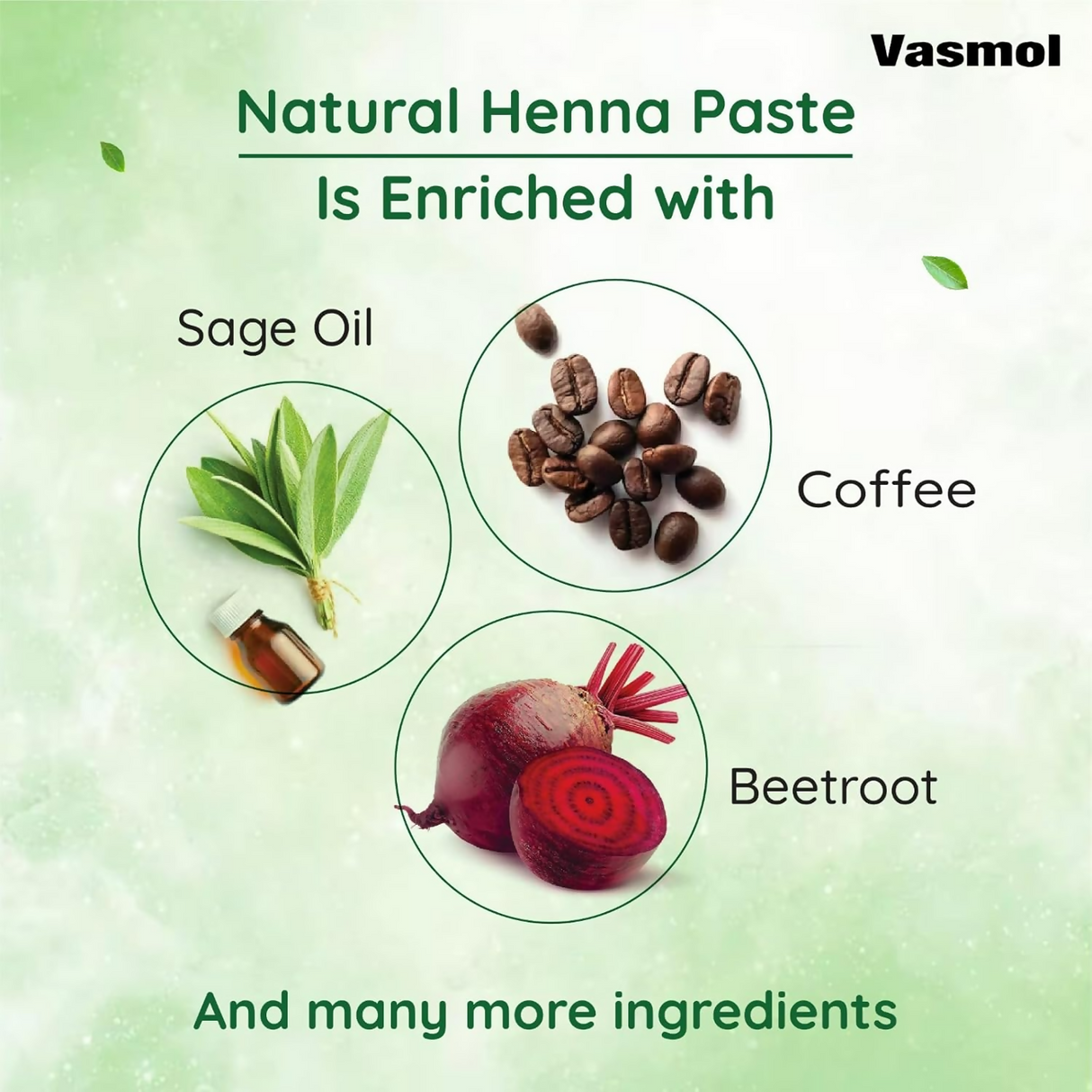 Vasmol Natural Henna Paste Ready To Use