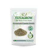 Yuvagrow Premium Cumin Seeds