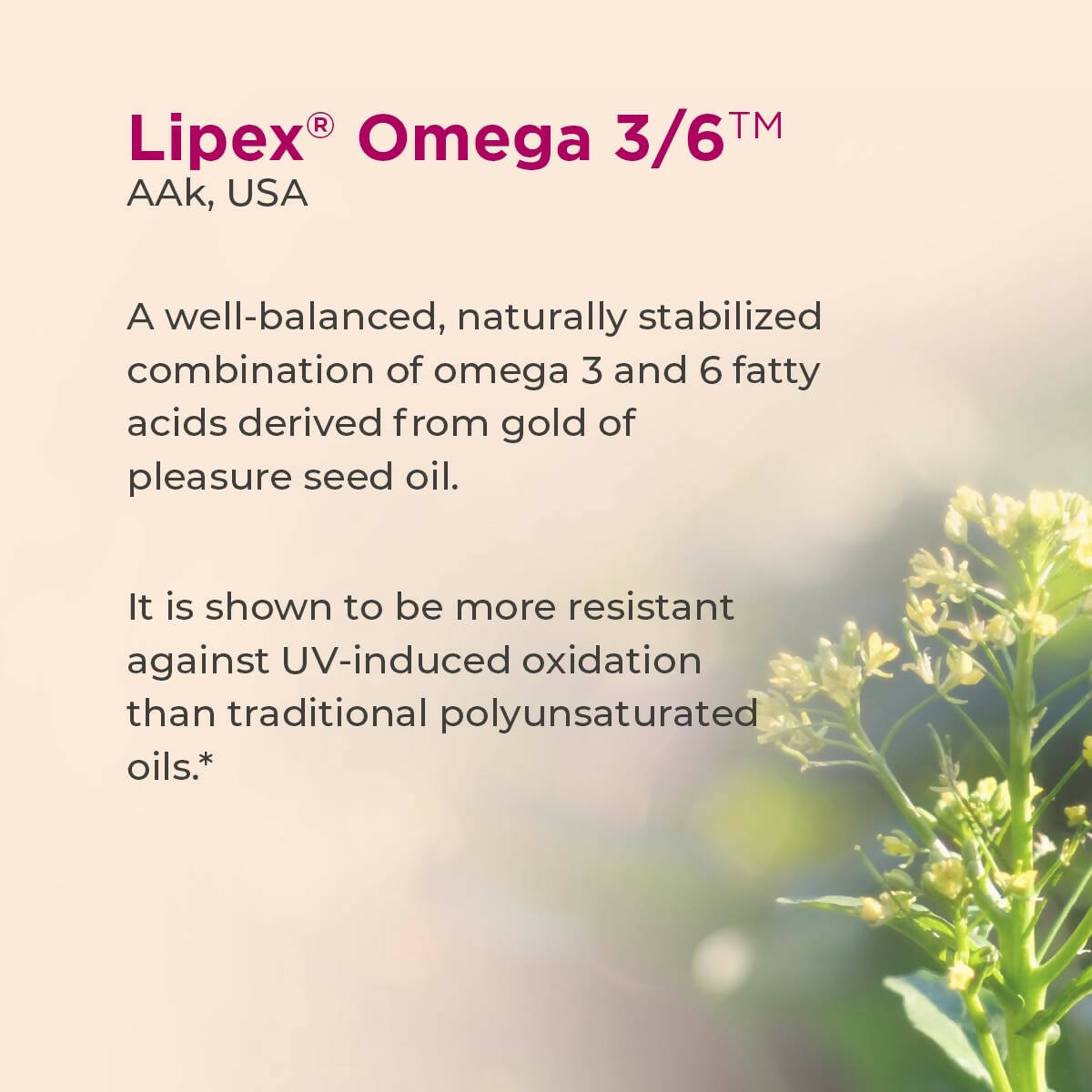Healthyr-U Omega Skin Repair Face Serum