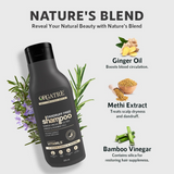 Orgatre Dandruff Free Shampoo For Men & Women